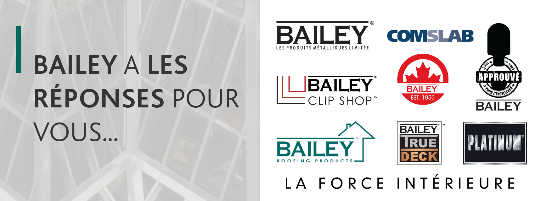 Bailey Solutions French Banner